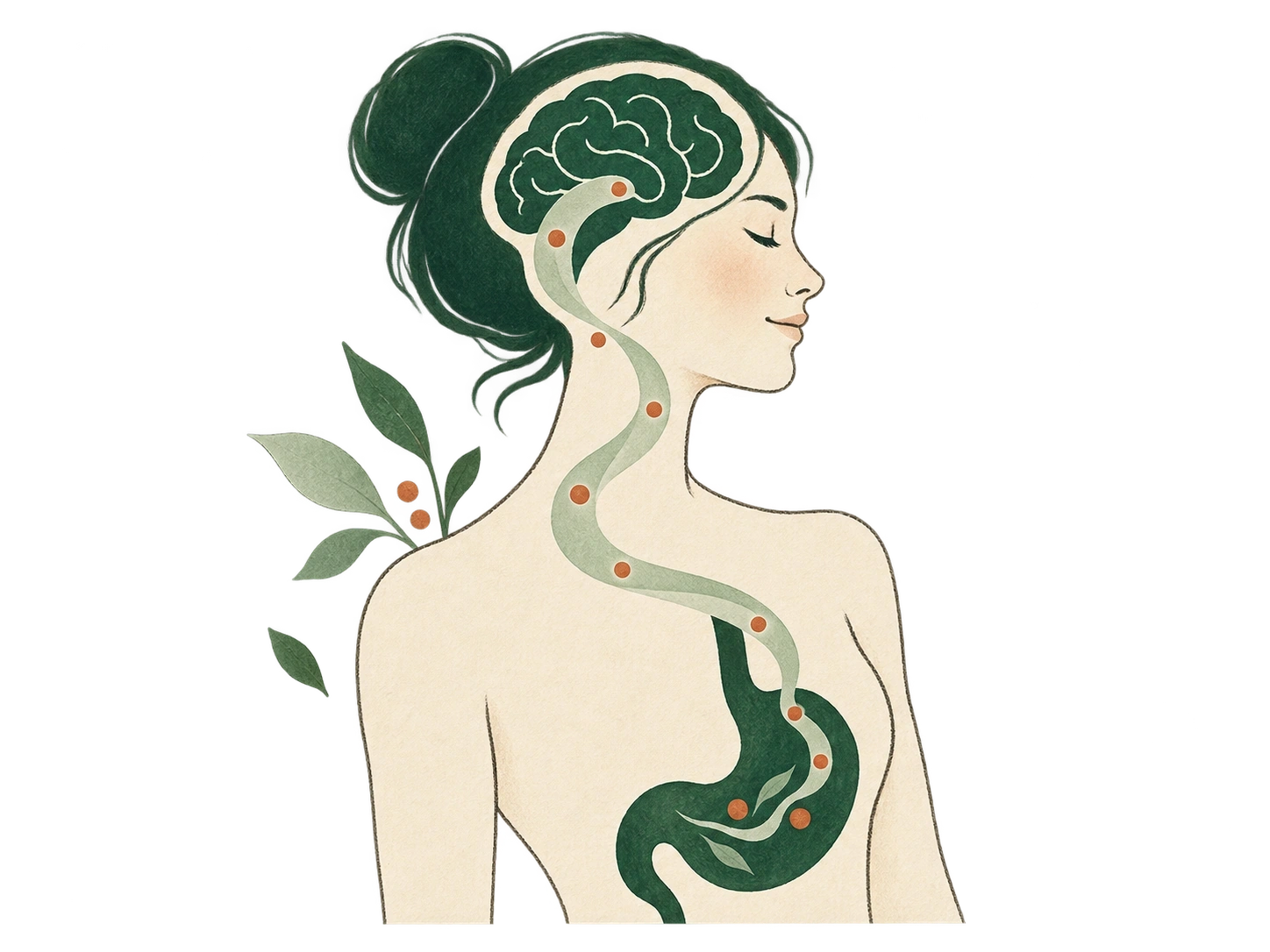 Silueta pintada con una cinta entre cerebro y estómago, como metáfora de comunicación.